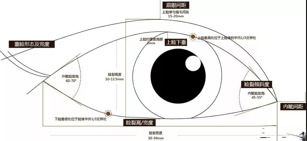 华西医院肖海涛医生科普双眼皮整形手术