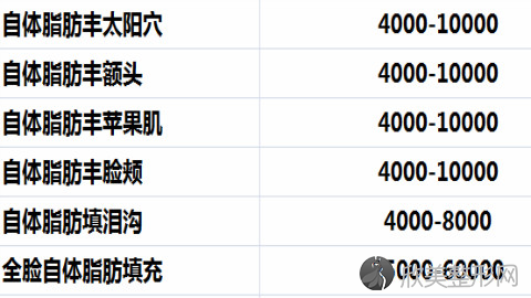 北京乔爱军做脂肪填充技术到底怎么样?内附面部脂肪填充案例及较新整形价格