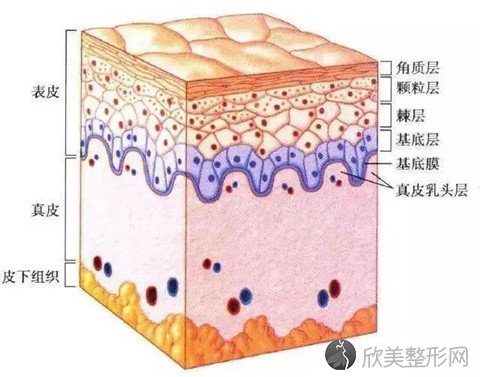 每天补水却依然脱皮，原因竟然是这个！