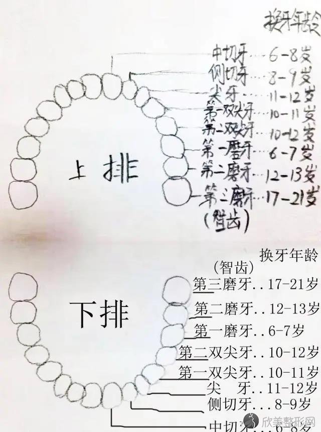 越来越多的孩子长着奇怪的牙齿，我希望你家没有