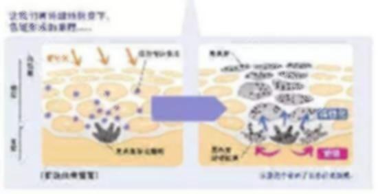 上海祛斑医院怎么样？