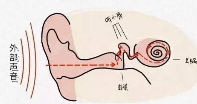 耳再造会吸收吗?会有少量吸收属于正常情况