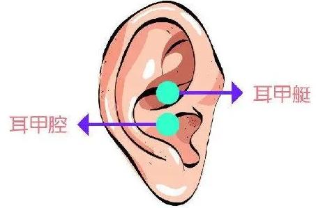 耳朵整形手术需要注意些什么?这有术前术后注意事项及手术步骤