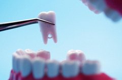 活动假牙的伤害性较小，这是为什么呢？