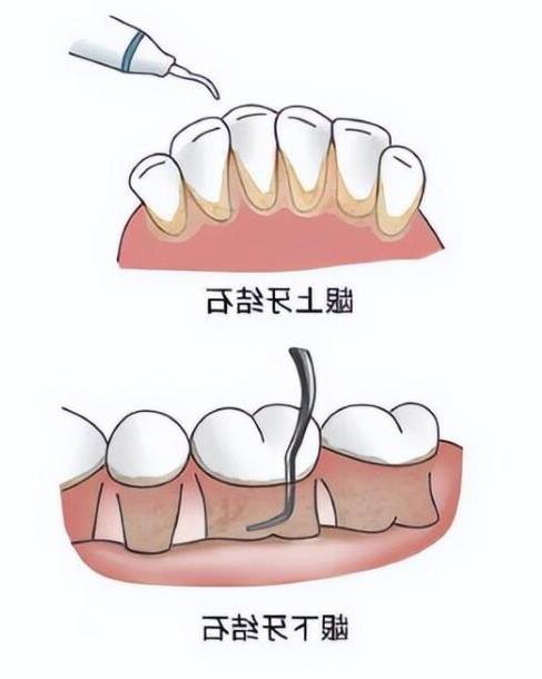 郑州口腔医疗新选择：2024年十佳牙科医院盘点