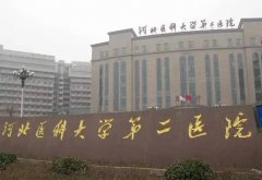 河北医科大学第二医院整形外科位置及医生评价，自体脂肪丰胸费用一览