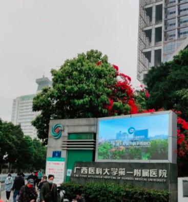 广西医科大学第一附属医院隆鼻手术价格表，价格表及收费标准解析