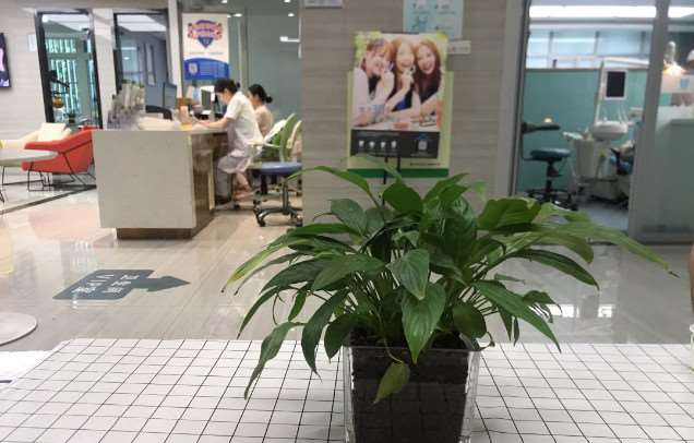 宿州信美口腔（金茂商城店）