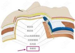 下巴塑形：玻尿酸注射的效用与费用解析