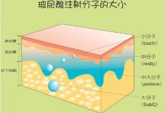 成都玻尿酸丰面颊效果怎么样？费用多少？