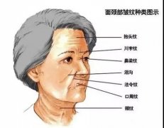 牙齿美容新选择：美容冠费用与效果解析