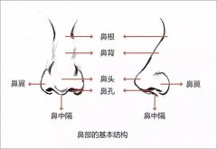 上海Ido整形医院价格表2025年新版，口碑医生信息、假体隆鼻手术效果