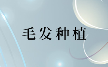 脱发的症状表现有哪些方面 男士脱发原因及治疗方法